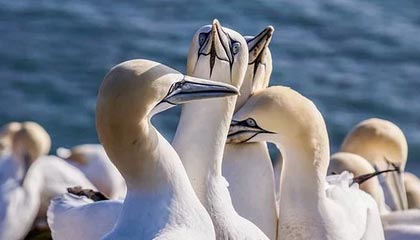 人人影视像校准：先校结尾是不是强收，再把范围写成边界句（评论也能用）