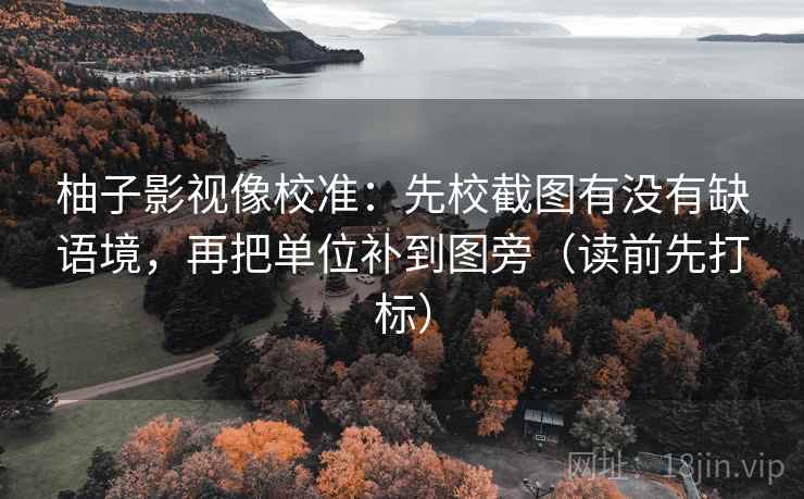 柚子影视像校准：先校截图有没有缺语境，再把单位补到图旁（读前先打标）