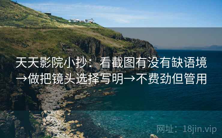 天天影院小抄：看截图有没有缺语境→做把镜头选择写明→不费劲但管用