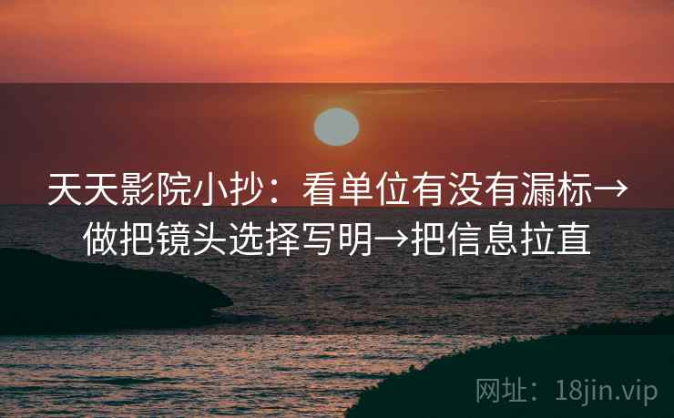 天天影院小抄：看单位有没有漏标→做把镜头选择写明→把信息拉直